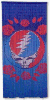 GRATEFUL DEAD "SYF" DOOR BEADS/CURTAIN