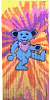 GRATEFUL DEAD "BEAR" DOOR BEADS/CURTAIN