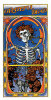 Grateful Dead - Skull And Roses Oblong Window Sticker